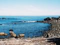 background: rockport