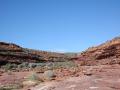 background: KARAGINI NATIONAL [PARK I THINK W.A.