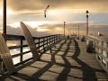 background: Sunny Day