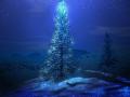 background: Christmas Night