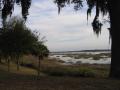 background: beaufort