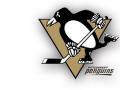 background: penguins