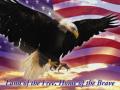 background: Eagle