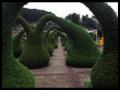 background: Arches