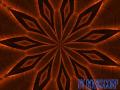 background: dimension lotus