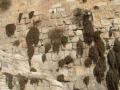 background: Life Between The Ancient