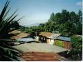 background: Tin Roofs