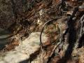 background: Abramn's Falls Trail Great Smokey Mountains Tennessee
