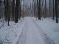 background: Up North