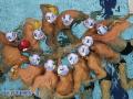 background: water polo