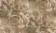 background: antique roses