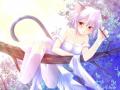 background: anime