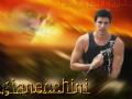 background: gianecchini
