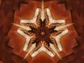 background: psychedelic starfish