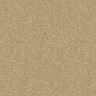 background: brown sand