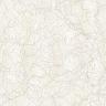 background: eggshell