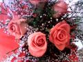 background: Bouquet of roses