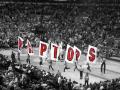 background: raptors