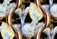 background: Angels7