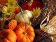 background: autumn bounty