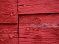 background: Red Wood
