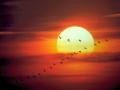 background: Sunset